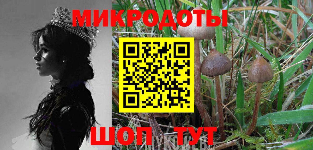 Галлюциногенные грибы GOLDEN TEACHER  Вход с VPN  Нижнеудинск 
